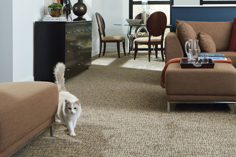 carpet Custom Blinds Window Shades Hunter Douglas Flooring